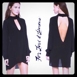 For Love and Lemons dress